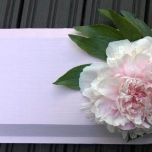 Pioni Sisävärikartan vaaleanpunainen sävy